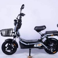 踏浪電動(dòng)車